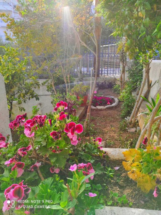 Rigos House At Askeli Beach, Poros Island Villa Poros Town Екстериор снимка