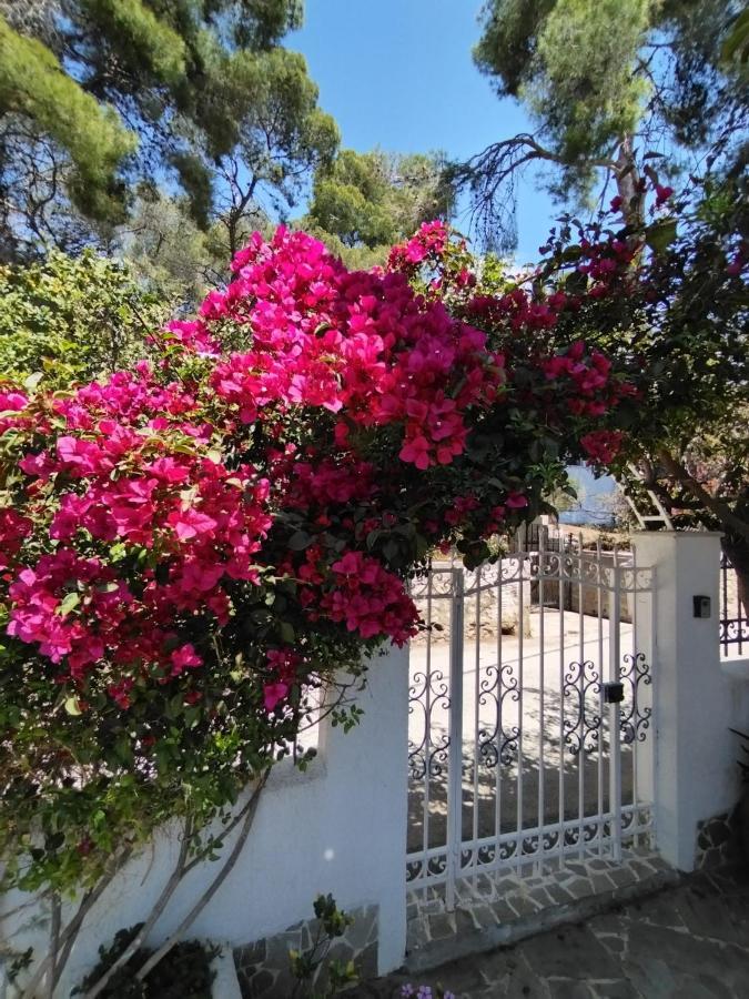 Rigos House At Askeli Beach, Poros Island Poros Town Екстериор снимка